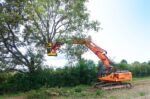 RABAUD XYLOCUT 310 PE | Fällgreifer für Bagger 13,0 bis 17,0 to. – Bild 5